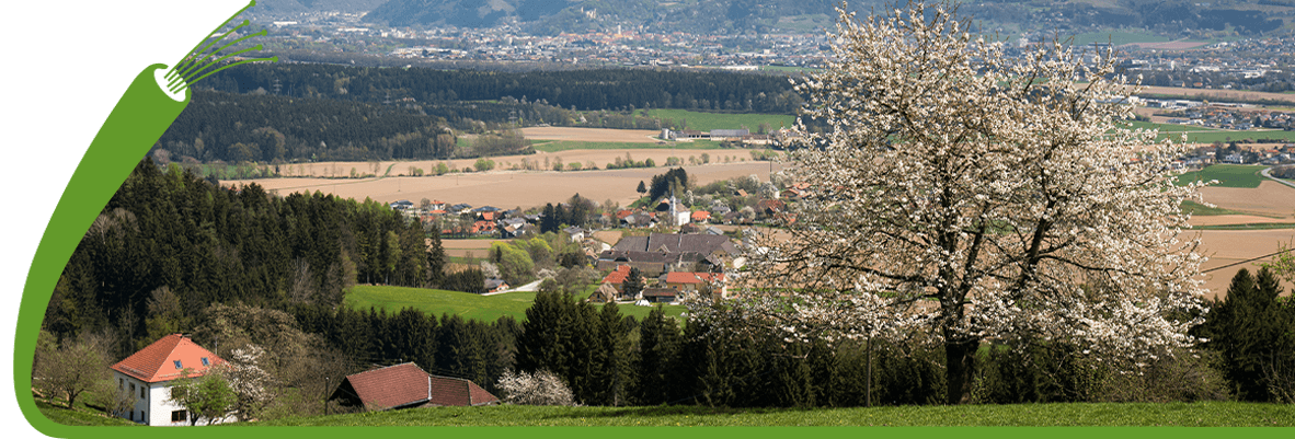 Wolfsberg